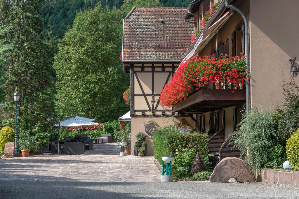 Hotel Domaine Le Moulin Ottrott Exteriér fotografie