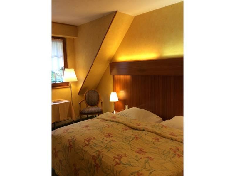 Hotel Domaine Le Moulin Ottrott Exteriér fotografie
